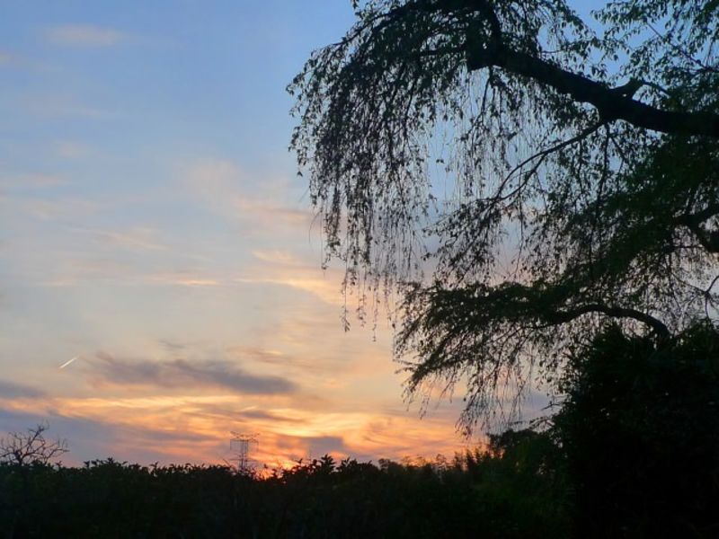 京都府、山城中部地域にある地方自治体による婚活情報