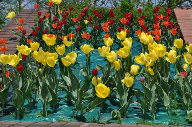 埼玉県南部地域の地方自治体による婚活支援サービス