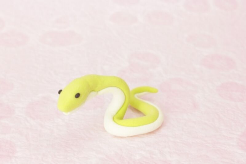 お金、仕事運が上がる蛇