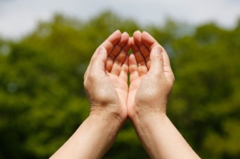 貰える物は貰う。