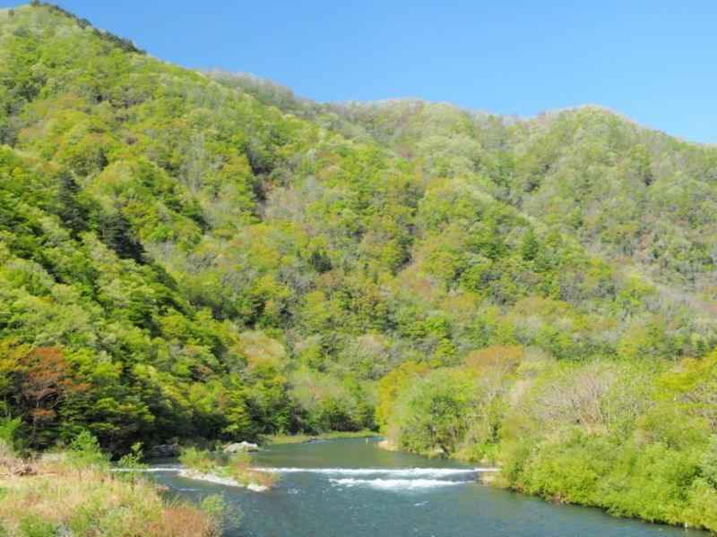 岩手県の沿岸地方の自治体による結婚支援サービス情報