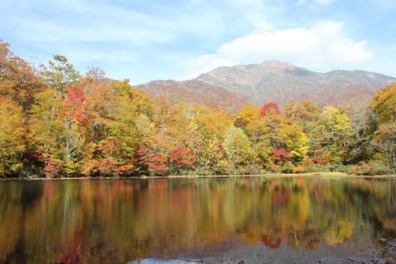 福井県奥越前地区にある地方自治体による結婚支援応援サービス情報