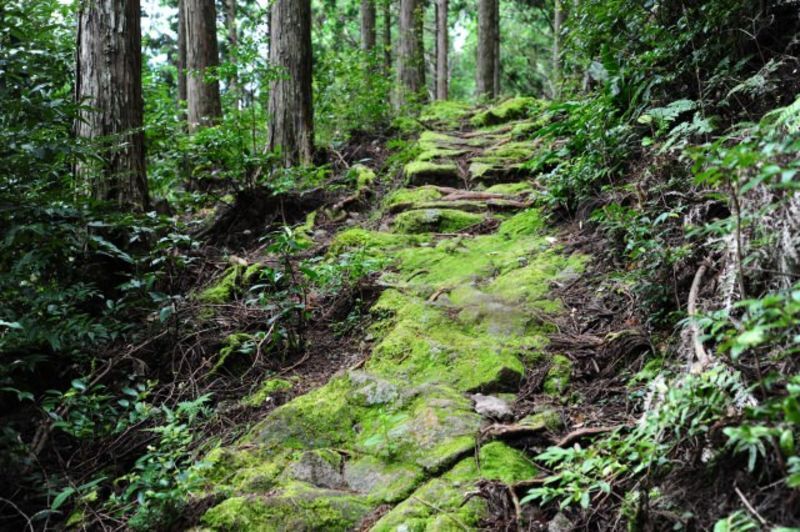 三重県東紀州地域にある地方自治体による結婚支援サービス
