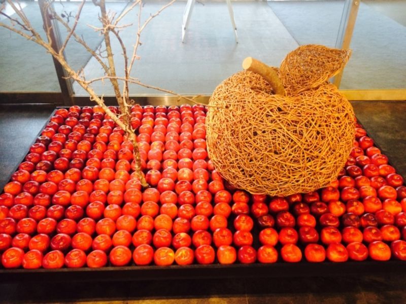 青森市・東津軽郡地方の自治体による結婚支援サービス情報