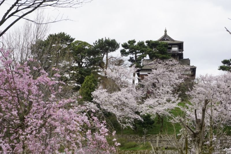 福井県坂井地区にある地方自治体による結婚支援応援サービス情報