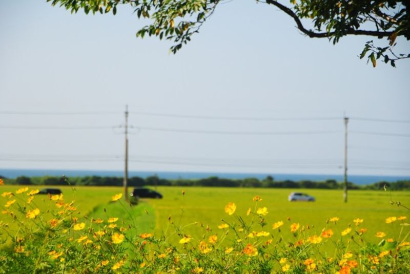 福井県若狭地区にある地方自治体による結婚支援応援サービス情報