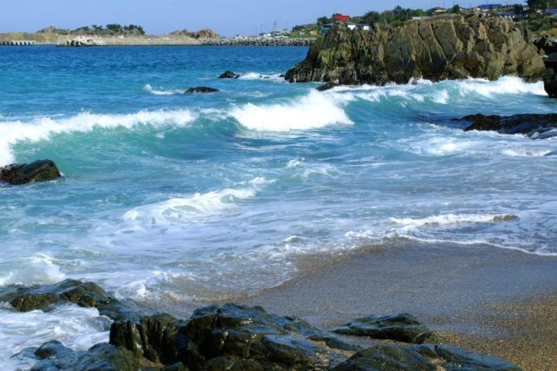 八戸市・三戸郡地方の自治体による結婚支援サービス情報