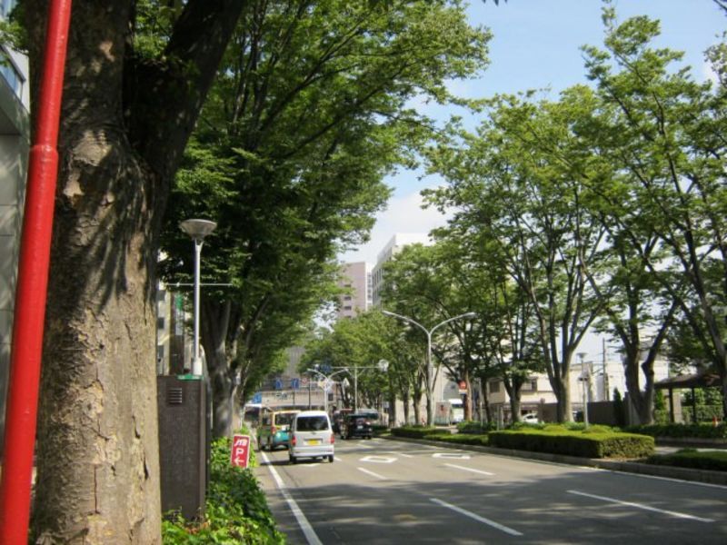 群馬県中毛地域の地方自治体による結婚支援サービス情報