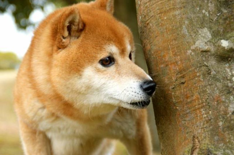 宇宙人に気付かれないようにコッソリ仲間を助ける