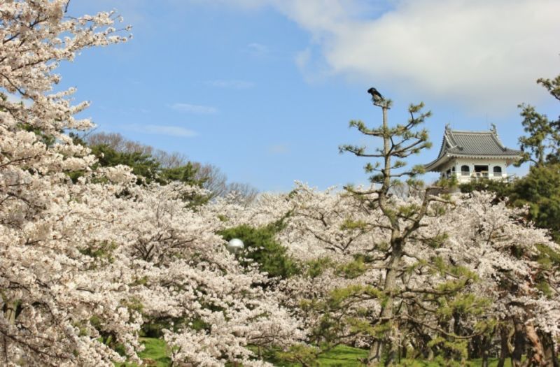 滋賀県湖北地域にある地方自治体による結婚支援応援サービス情報