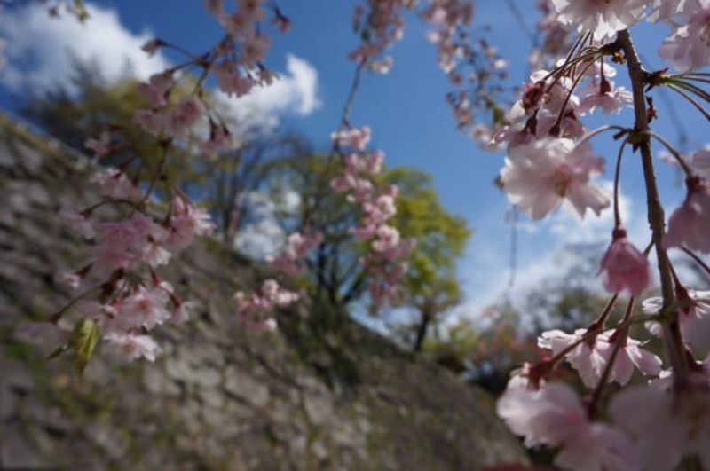 岩手県の内陸北部地方の自治体による結婚支援サービス情報