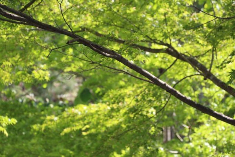 山梨県郡部地域の地方自治体による婚活事業