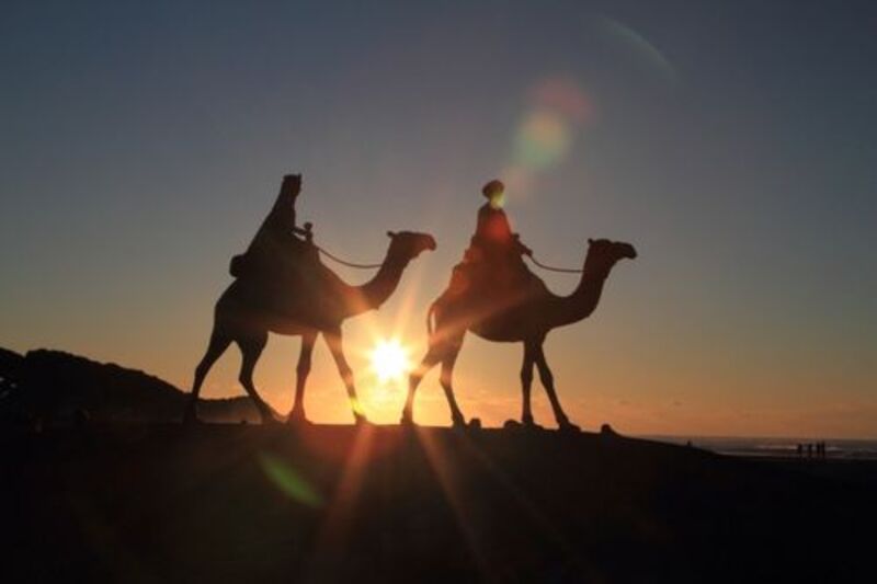 お姫様を助けに行く戦士達