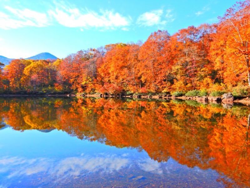 新潟県上越地方の地方自治体による結婚支援サービス情報
