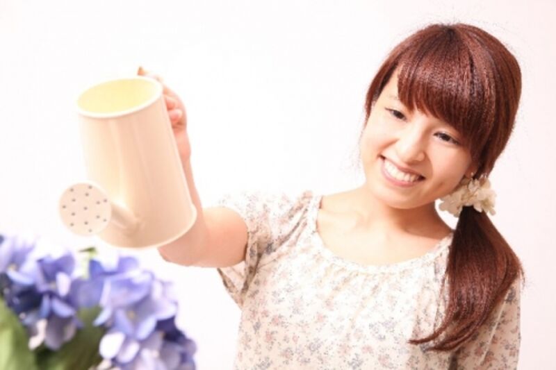 チューリップに水をあげる女性