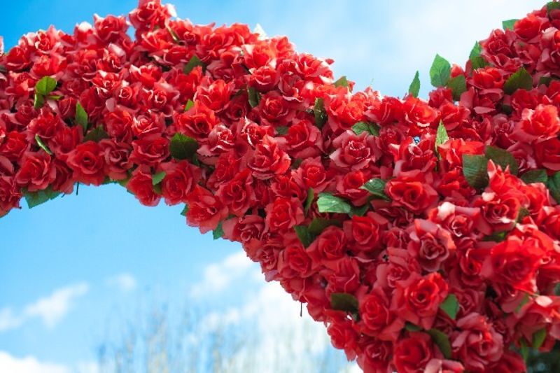 幸せの薔薇のアーチ