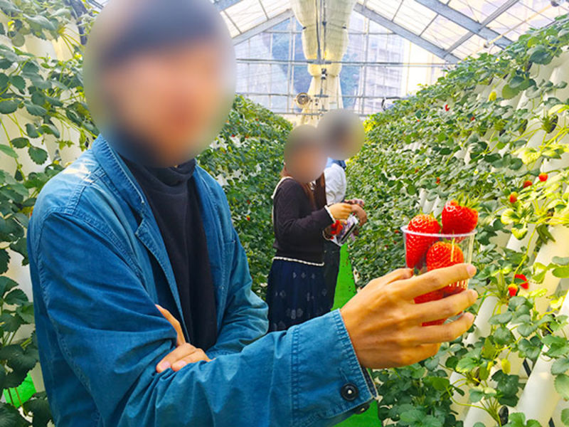 甘くて大きなイチゴ