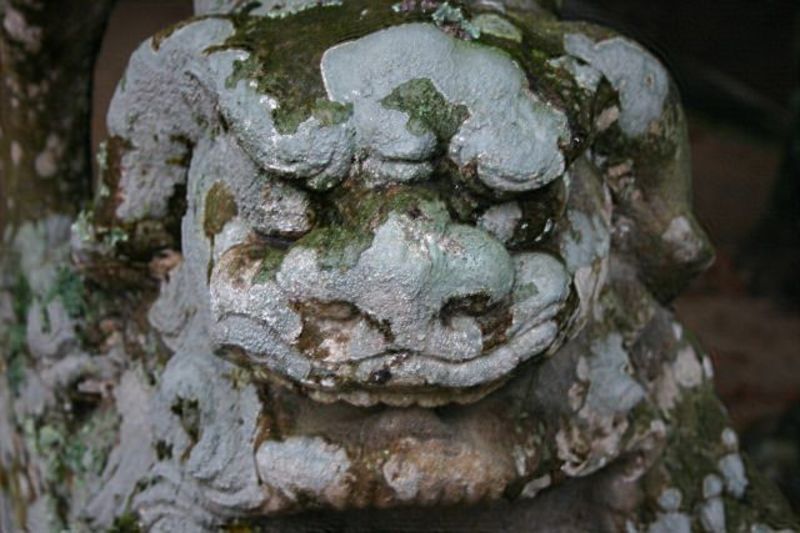 縁結びの白兎神社の狛犬