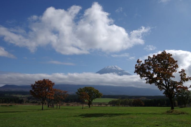 静岡東部の地方自治体による結婚相談事業