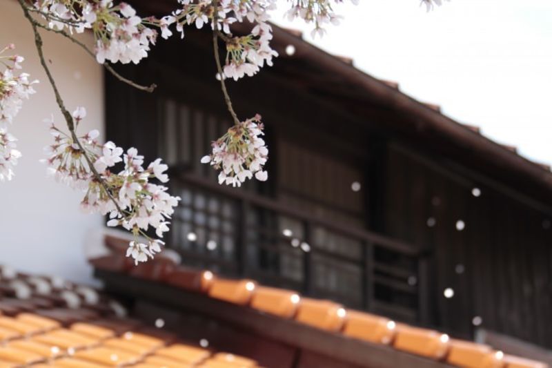 山形県の最上地方の自治体による結婚支援サービス情報