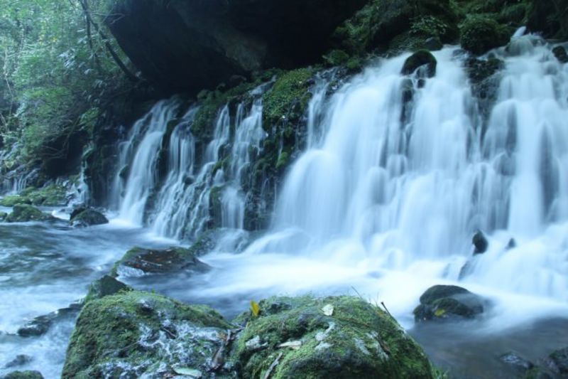 由利本荘市・にかほ市地方の自治体による結婚支援サービス情報