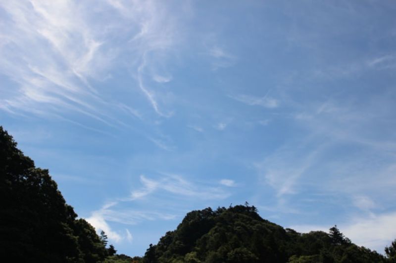 千葉県南地域の地方自治体による婚活支援サービス