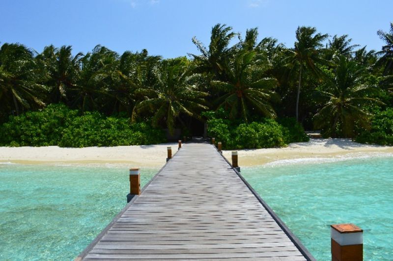 天国のような景色