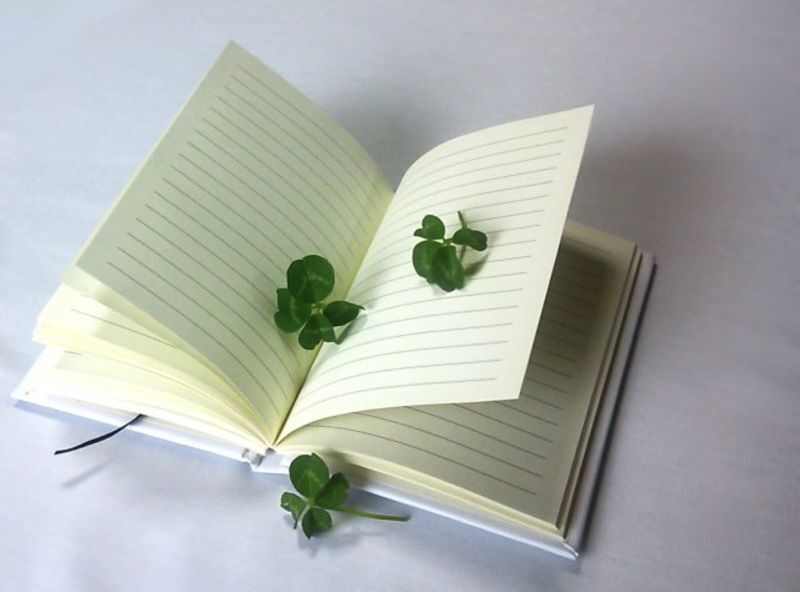 過去の想い出が詰まった日記