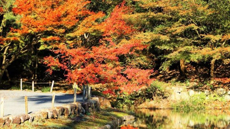 岐阜県東濃地域の地方自治体による結婚支援サービス