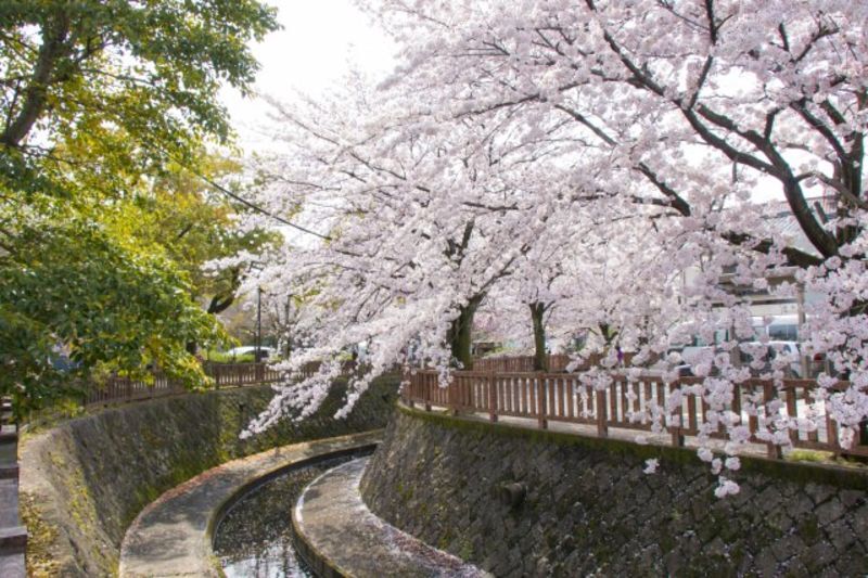 岐阜県西濃地域の地方自治体による結婚支援サービス