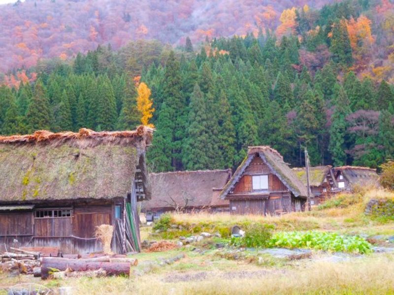 岐阜県飛騨地域の地方自治体による結婚支援サービス