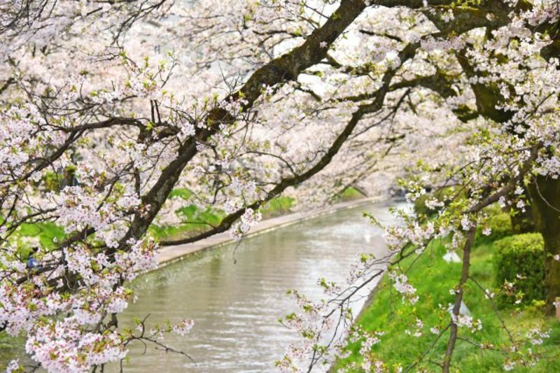 富山富山地区の地方自治体による結婚相談事業