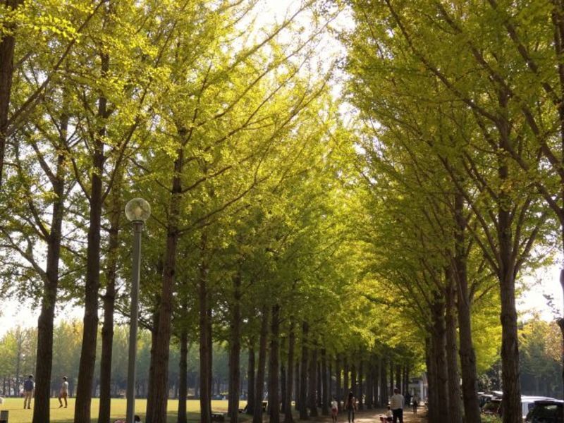 大阪府、三島地方にある地方自治体の結婚情報